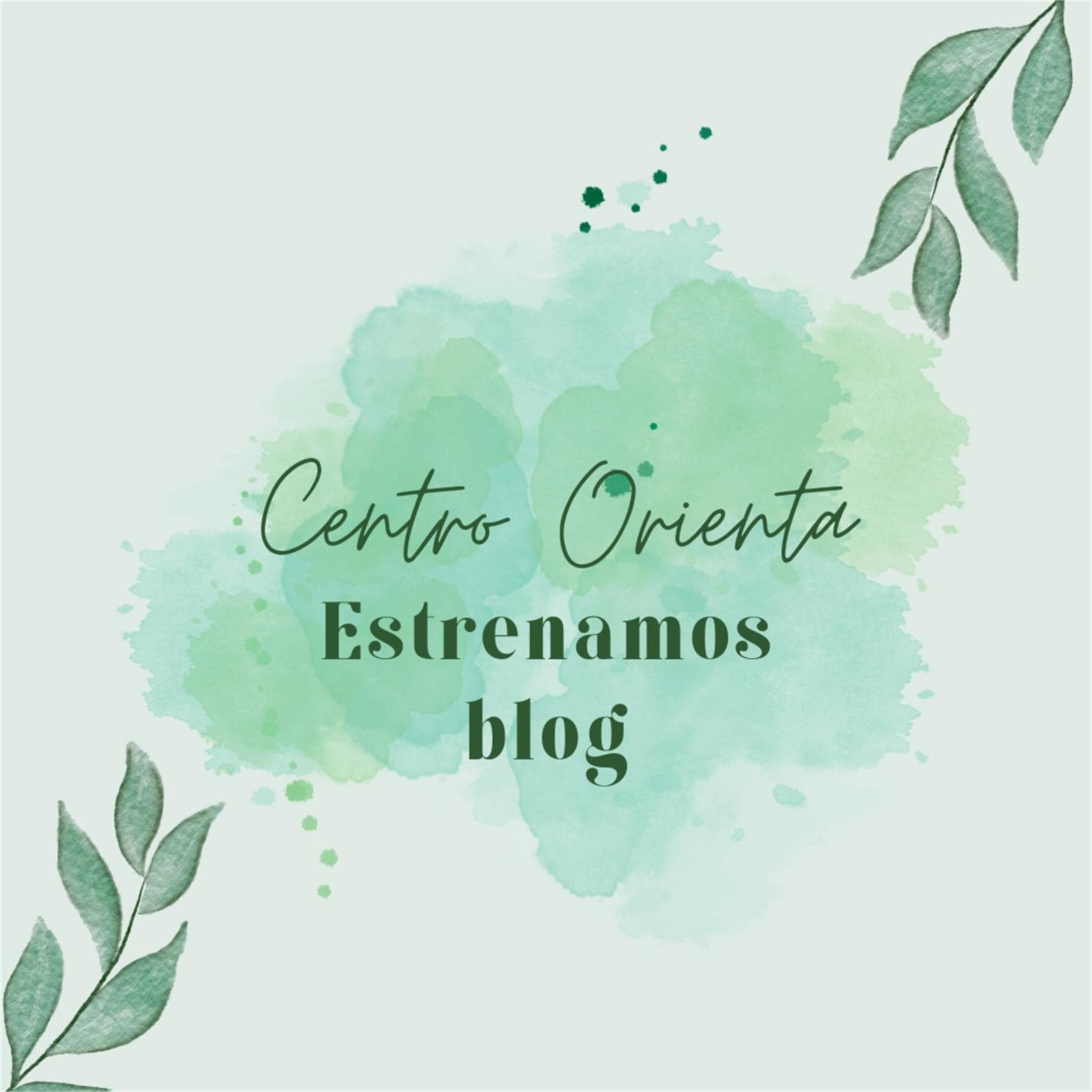 ESTRENAMOS BLOG - Imagen 1